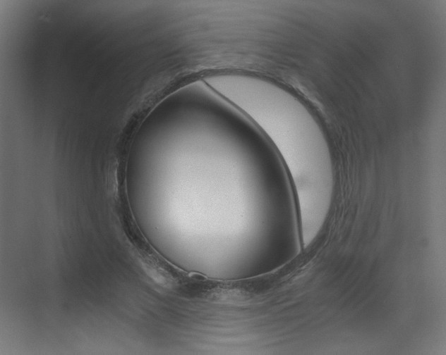 X0000073470685200607281059