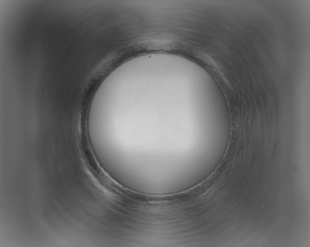 X0000073470686200607281059