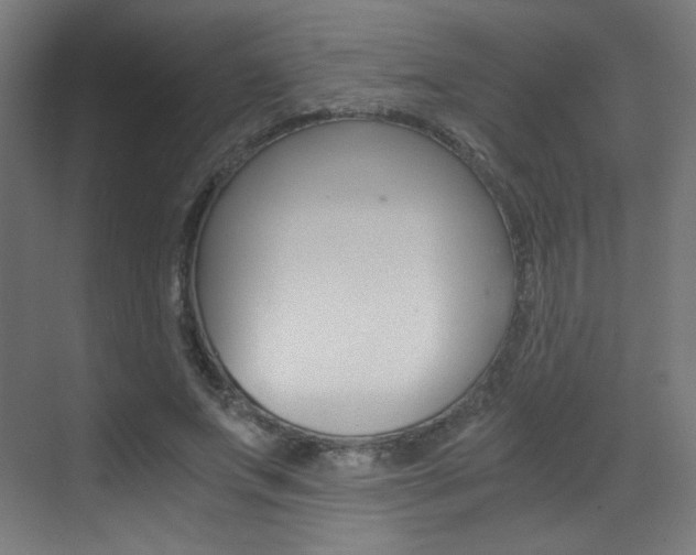X0000073470687200607281059