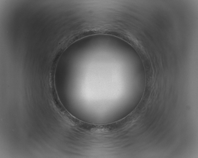 X0000073470689200607281059
