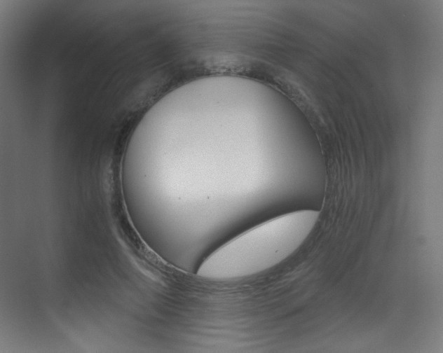X0000073470690200607281059