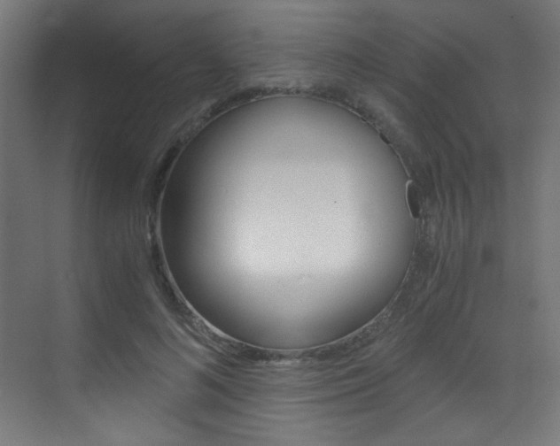 X0000073470692200607281059