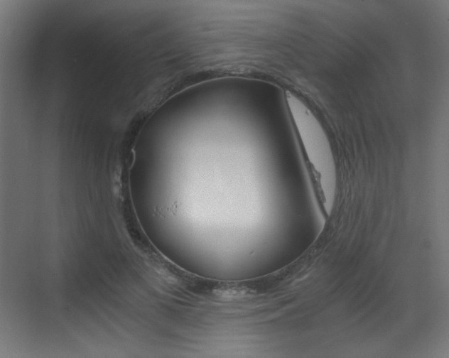 X0000073470693200607281059