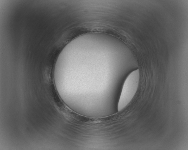 X0000073470695200607281059