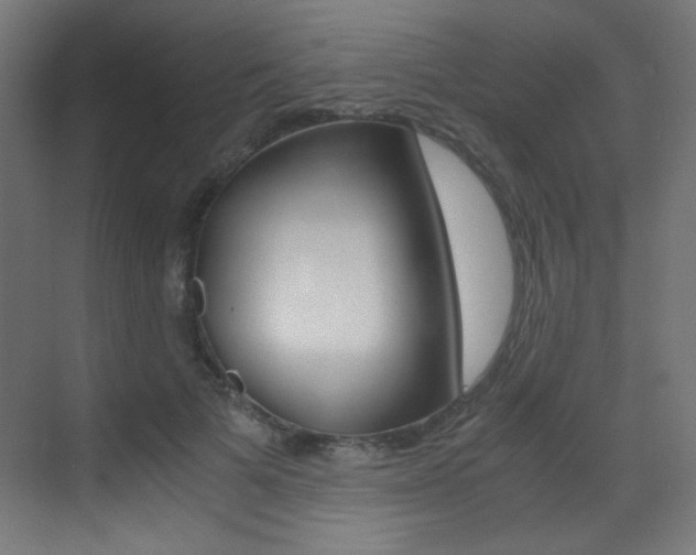 X0000073470697200607281059