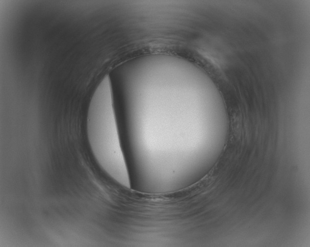 X0000073470698200607281059