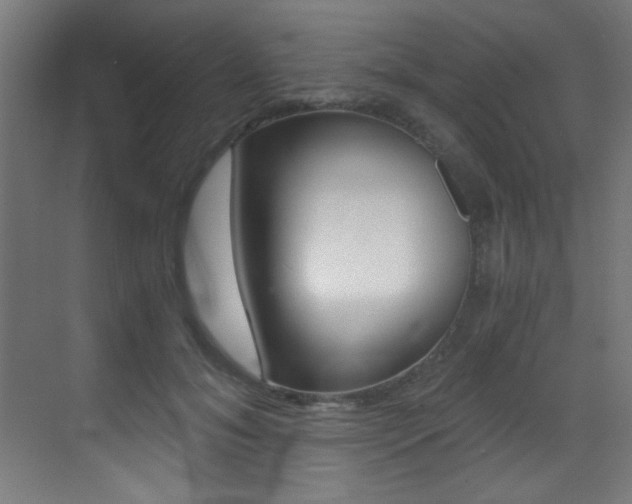 X0000073470700200607281059