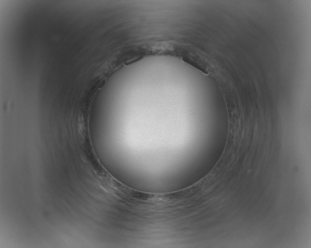 X0000073470704200607281059