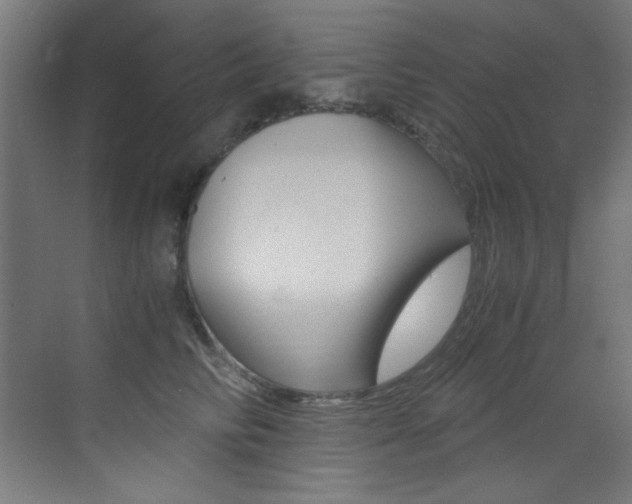 X0000073470710200607281059
