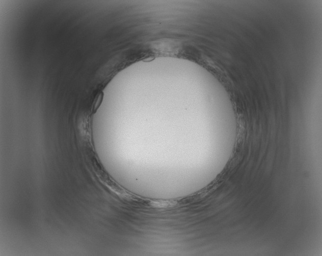 X0000073470713200607281059