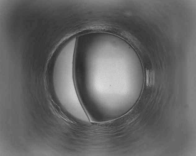 X0000073470723200607281058
