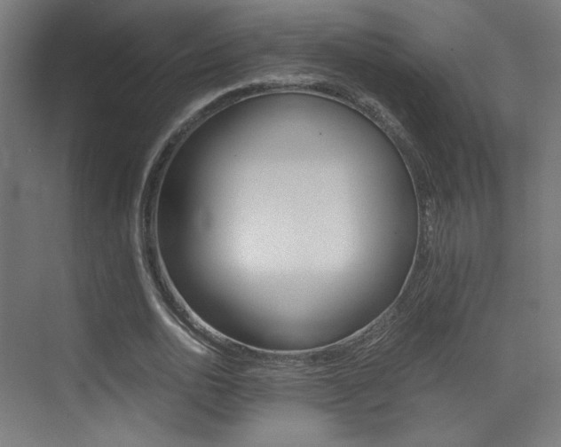 X0000073470726200607281058