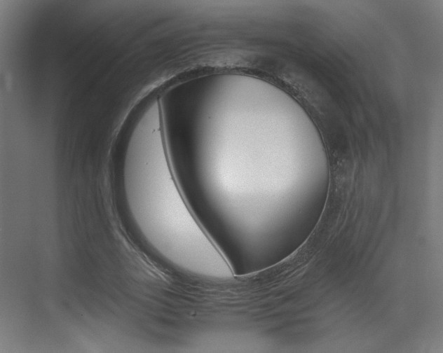 X0000073470727200607281058