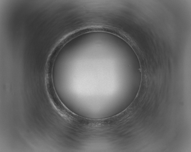 X0000073470728200607281058