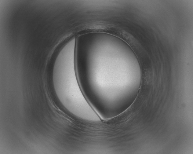 X0000073470731200607281058