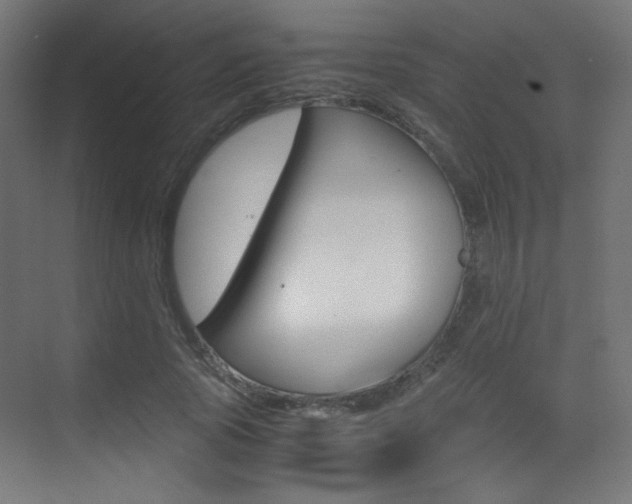 X0000073470737200607281058