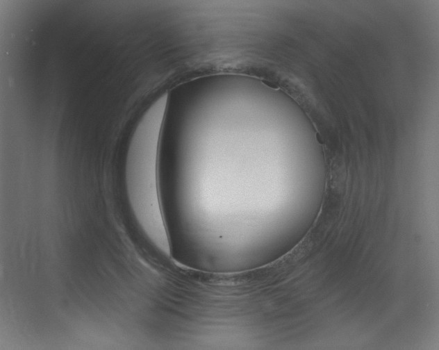 X0000073470740200607281058