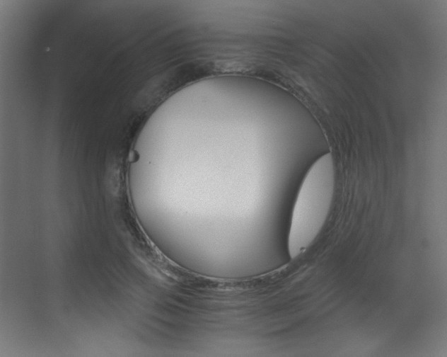 X0000073470741200607281058