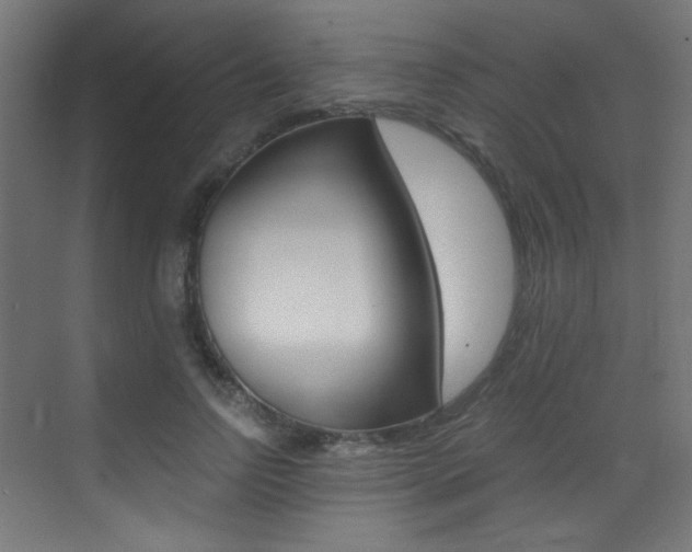X0000073470742200607281058