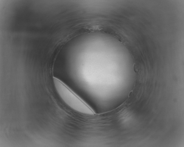 X0000073470747200607281058