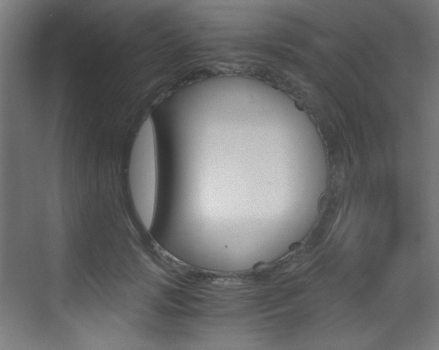 X0000073470749200607281058