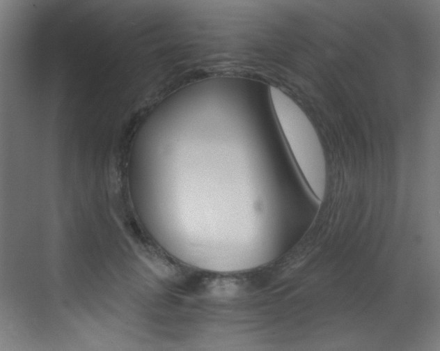 X0000073470751200607281058