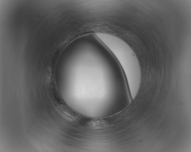 X0000073470752200607281058