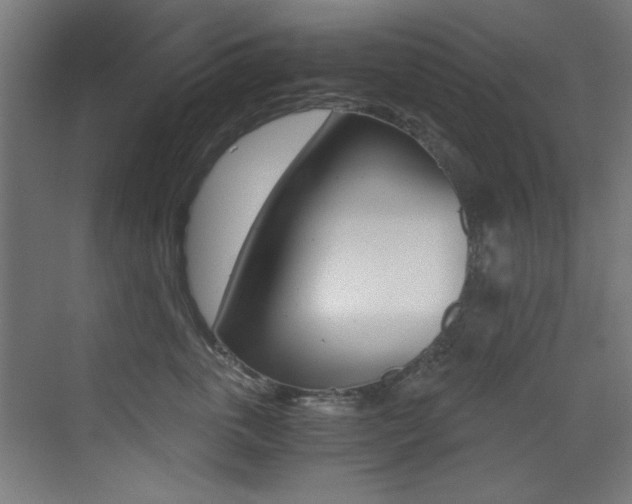 X0000073470763200607281058