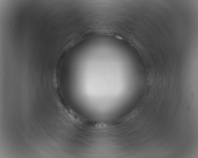 X0000073470764200607281059