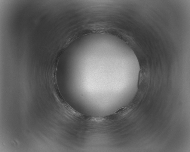 X0000073470767200607281059