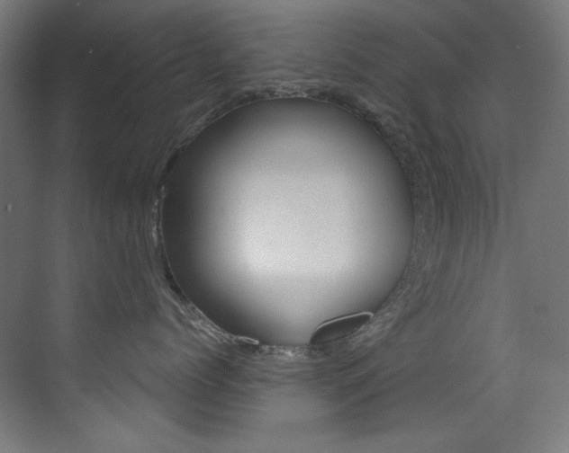 X0000073470768200607281059
