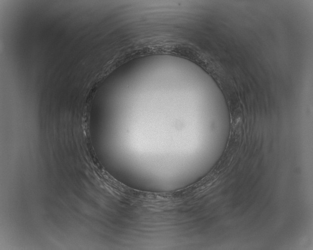 X0000073470772200607281058