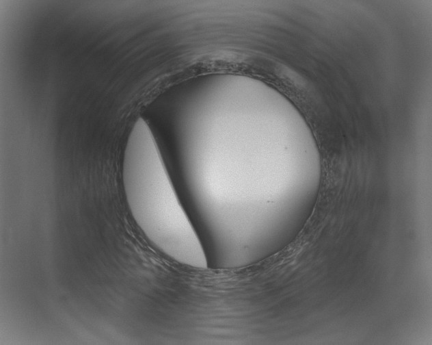 X0000073470774200607281058
