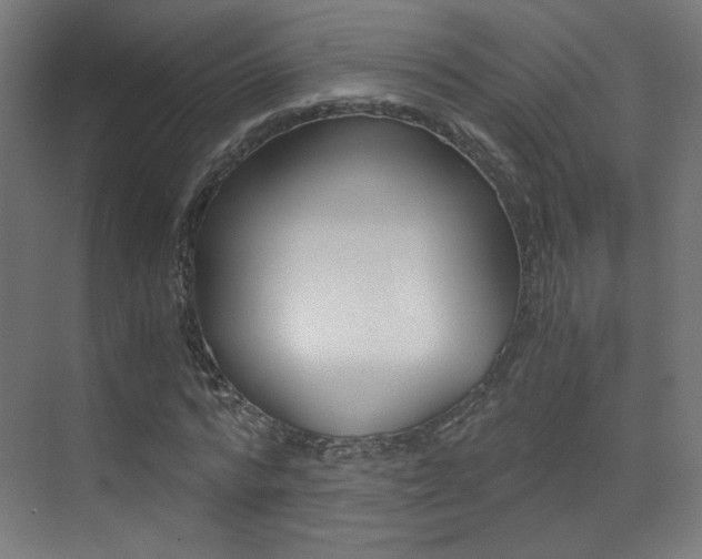 X0000073470776200607281058