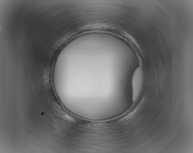 X0000073470778200607281058