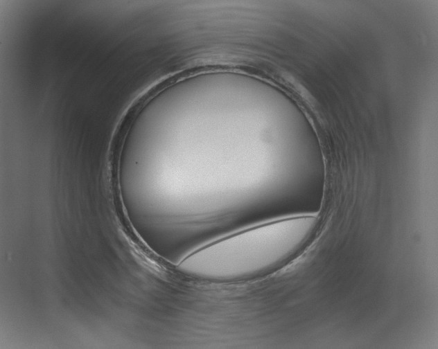 X0000073470779200607281058