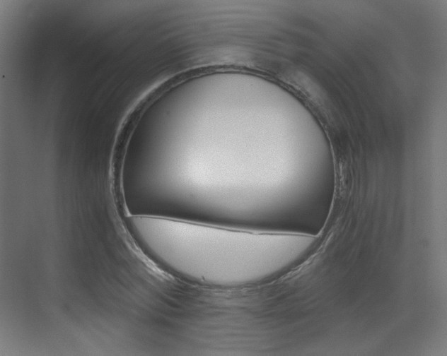 X0000073470780200607281058