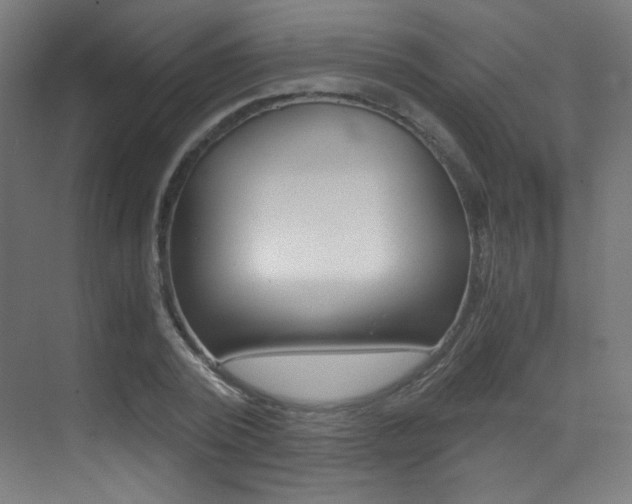 X0000073470784200607281058