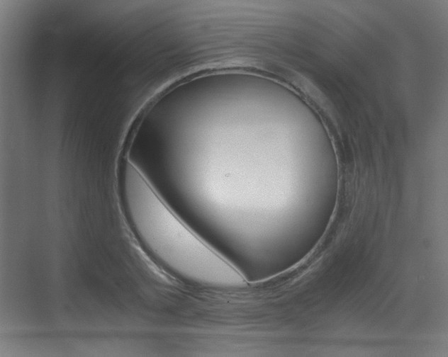 X0000073470789200607281057