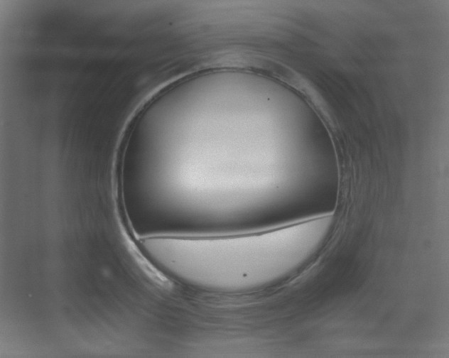 X0000073470795200607281057