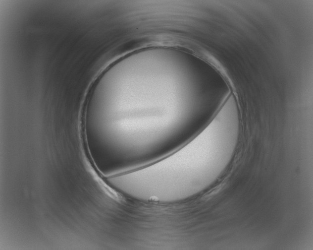 X0000073470803200607281057