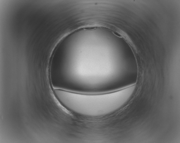 X0000073470805200607281057