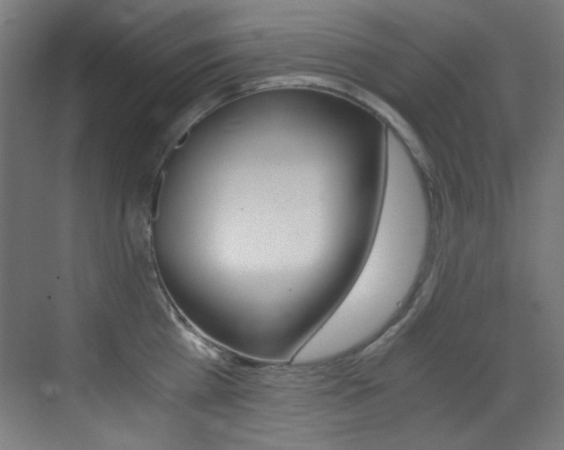 X0000073470809200607281057