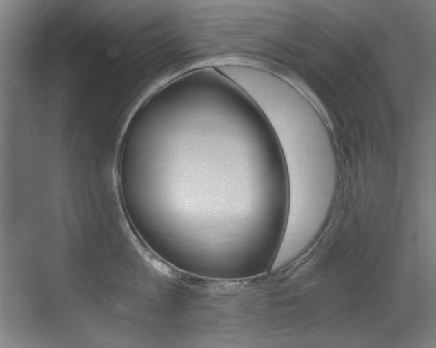 X0000073470813200607281057