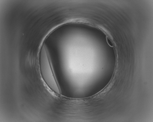X0000073470816200607281057