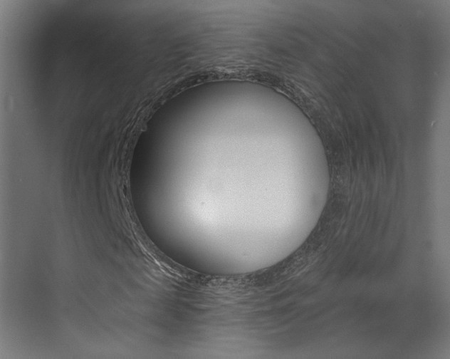 X0000073470817200607281056