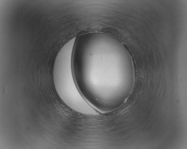 X0000073470818200607281056