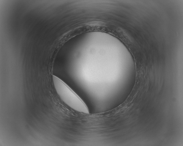 X0000073470821200607281056