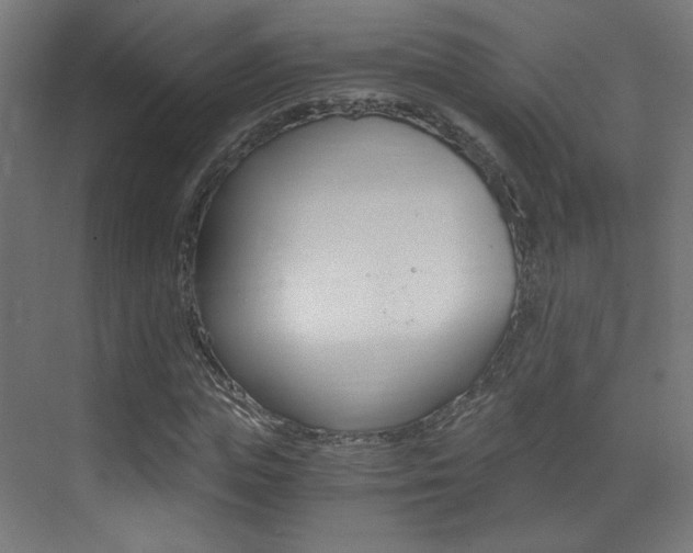 X0000073470823200607281056