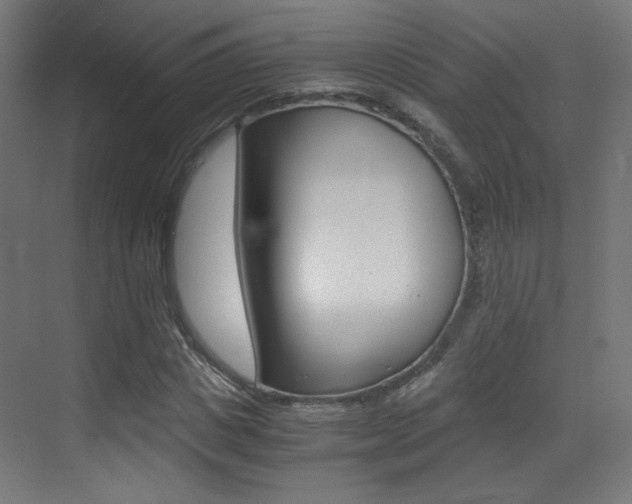 X0000073470825200607281056